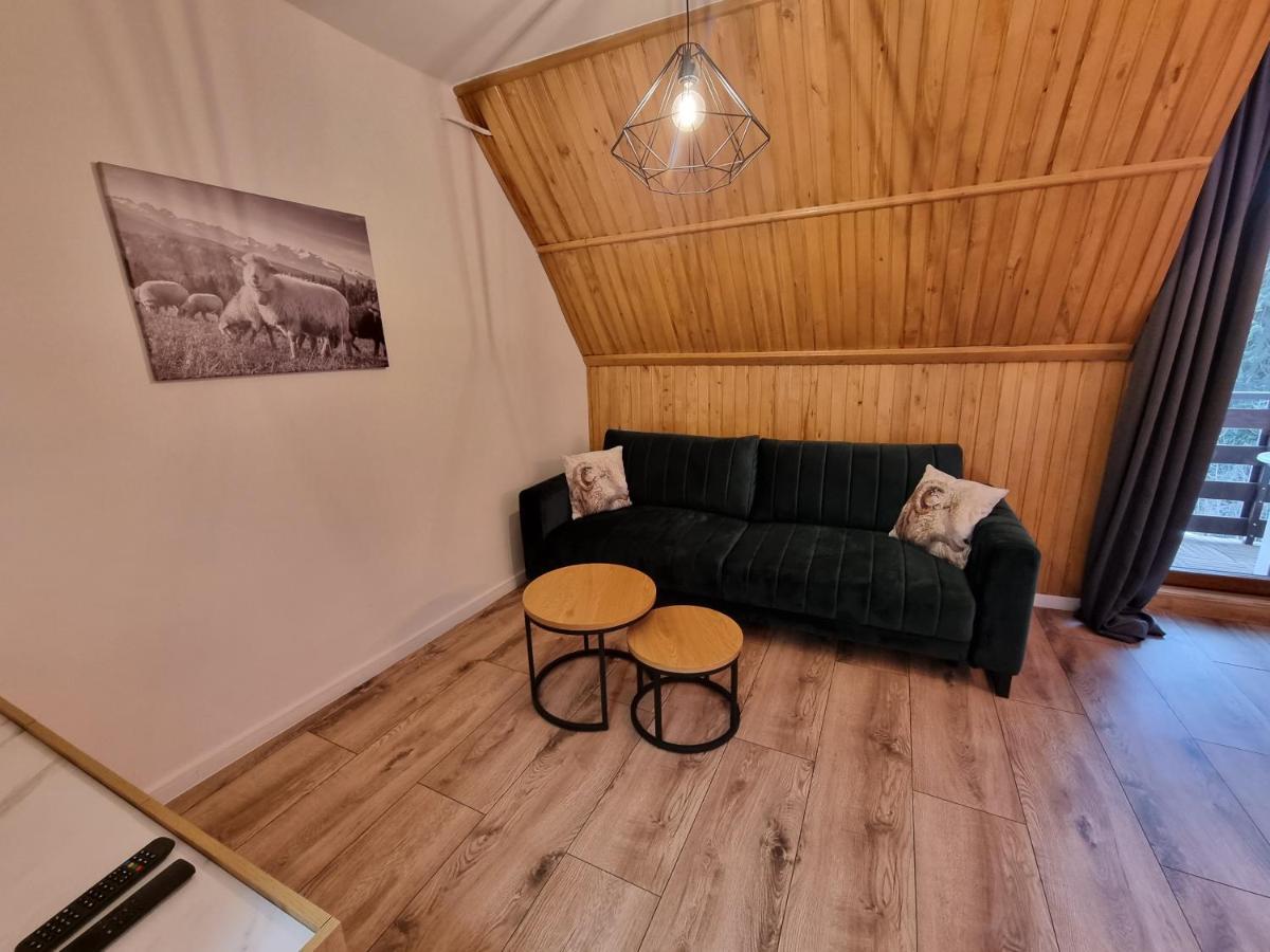 Apartament Klasyczny Z Widokiem Na Giewont Kościelisko Eksteriør bilde