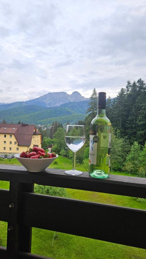 Apartament Klasyczny Z Widokiem Na Giewont Kościelisko Eksteriør bilde